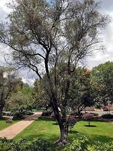 Kunming - Universite du Yunnan (36)